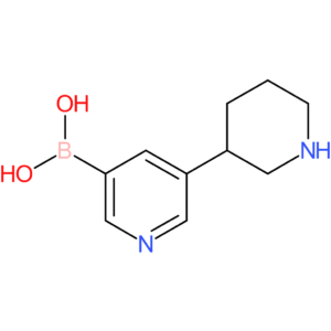 5-(piperidin-3-yl)pyridine-3-boronic acid