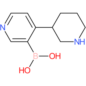 4-(piperidin-3-yl)pyridine-3-boronic acid