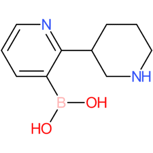 2-(piperidin-3-yl)pyridine-3-boronic acid