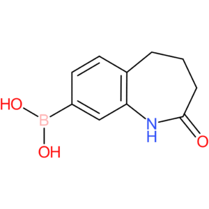 2,3,4,5-tetrahydro-2-oxo-1h-benzo[b]azepin-8-yl-8-boronic acid