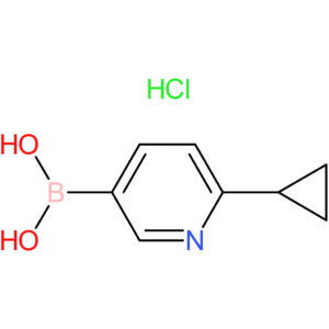 (6-cyclopropylpyridin-3-yl)boronic acid hydrochloride