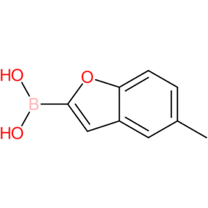 (5-methylbenzofuran-2-yl)boronic acid