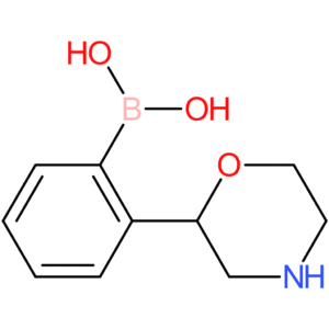 2-(morpholin-2-yl)phenylboronic acid