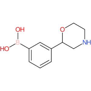 3-(morpholin-2-yl)phenylboronic acid