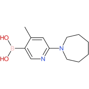 [6-(azepan-1-yl)-4-methylpyridin-3-yl]boronic acid