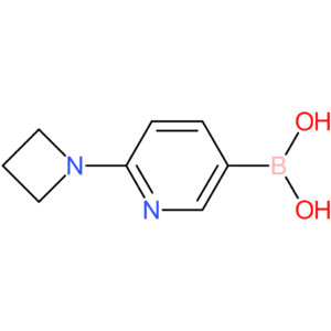 [6-(azetidin-1-yl)pyridin-3-yl]boronic acid