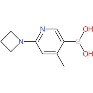 [6-(azetidin-1-yl)-4-methylpyridin-3-yl]boronic acid
