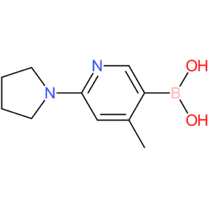 (4-methyl-6-(pyrrolidin-1-yl)pyridin-3-yl)boronic acid