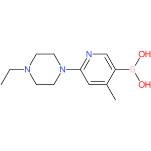 [6-(4-ethylpiperazin-1-yl)-4-methylpyridin-3-yl]boronic acid
