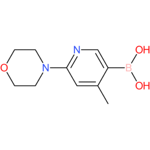 [4-methyl-6-(morpholin-4-yl)pyridin-3-yl]boronic acid