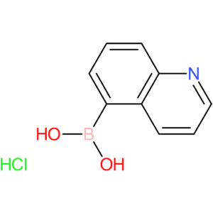 quinolin-5-ylboronic acid hydrochloride