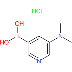 (5-(dimethylamino)pyridin-3-yl)boronic acid hydrochloride