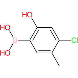 (4-chloro-2-hydroxy-5-methylphenyl)boronic acid