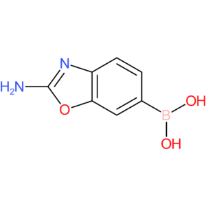 (2-amino-1,3-benzoxazol-6-yl)boronic acid