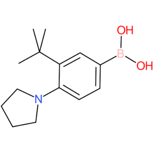 boronic acid, b-[3-(1,1-dimethylethyl)-4-(1-pyrrolidinyl)phenyl]-
