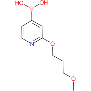 boronic acid, b-[2-(3-methoxypropoxy)-4-pyridinyl]-