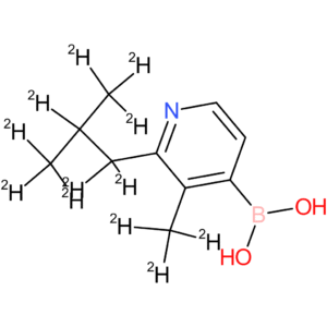 [2-(iso-butyl)-3-methyl-d12]-pyridine-4-boronic acid