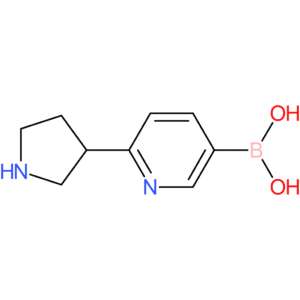 [6-(pyrrolidin-3-yl)pyridin-3-yl]boronic acid