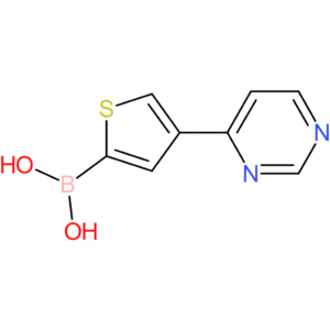 4-(pyrimidin-4-yl)thiophene-2-boronic acid