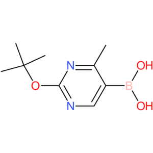 4-methyl-2-(tert-butoxy)pyrimidine-5-boronic acid