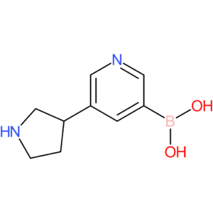 3-(pyrrolidin-3-yl)pyridine-5-boronic acid