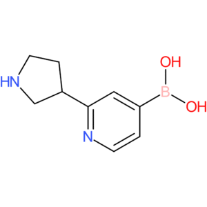 [2-(pyrrolidin-3-yl)pyridin-4-yl]boronic acid