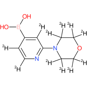 2-(morpholinopyridine-d11)-4-boronic acid