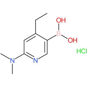 b-[6-(dimethylamino)-4-ethyl-3-pyridinyl]-boronic acid hydrochloride