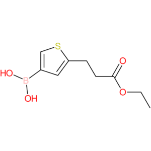 (5-(3-ethoxy-3-oxopropyl)thiophen-3-yl)boronic acid