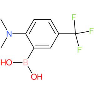 2-(dimethylamino)-5-(trifluoromethyl)phenylboronic acid