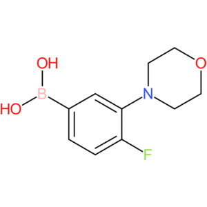 (4-fluoro-3-morpholinophenyl)boronic acid