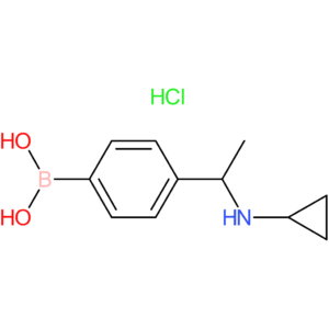 (4-(1-(cyclopropylamino)ethyl)phenyl)boronic acid hydrochloride