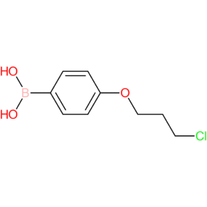 (4-(3-chloropropoxy)phenyl)boronic acid