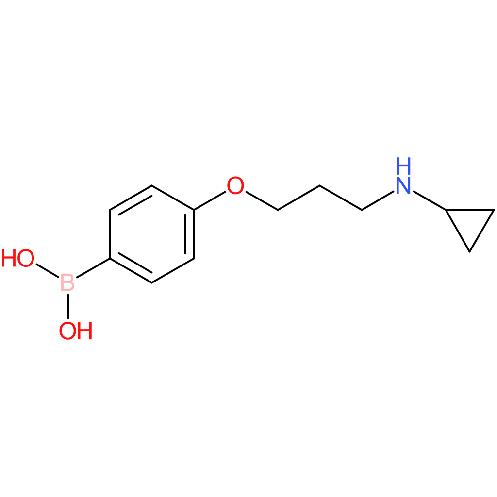 4-(3-(cyclopropylamino)propoxy)phenylboronic acid