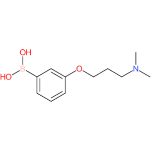 (3-(3-(dimethylamino)propoxy)phenyl)boronic acid