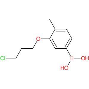 (3-(3-chloropropoxy)-4-methylphenyl)boronic acid