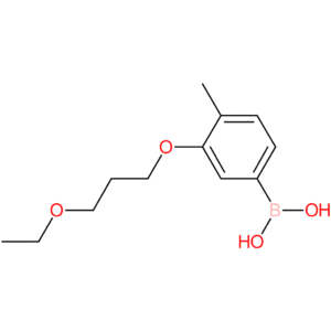 (3-(3-ethoxypropoxy)-4-methylphenyl)boronic acid