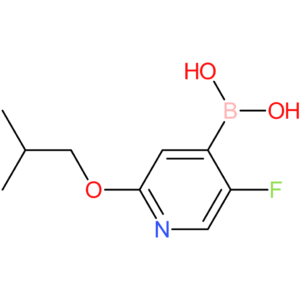 (5-fluoro-2-isobutoxypyridin-4-yl)boronic acid