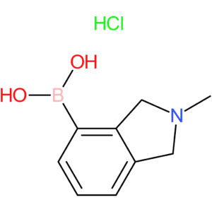 (2-methyl-2,3-dihydro-1h-isoindol-4-yl)boronic acid hydrochloride