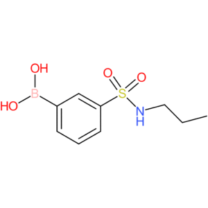 (3-(n-propylsulfamoyl)phenyl)boronic acid