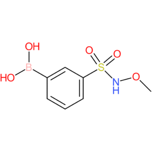 (3-(n-methoxysulfamoyl)phenyl)boronic acid