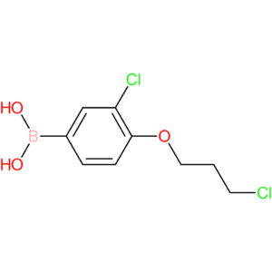 (3-chloro-4-(3-chloropropoxy)phenyl)boronic acid