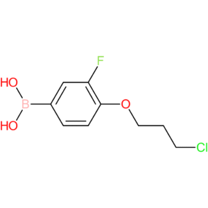 (4-(3-chloropropoxy)-3-fluorophenyl)boronic acid