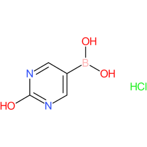 (2-hydroxypyrimidin-5-yl)boronic acid hydrochloride