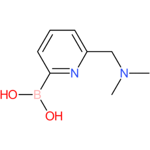 (6-[(dimethylamino)methyl]pyridin-2-yl)boronic acid