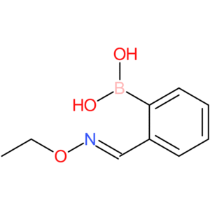 (Z)-(2-((ethoxyimino)methyl)phenyl)boronic acid