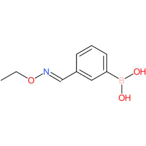 (Z)-(3-((ethoxyimino)methyl)phenyl)boronic acid