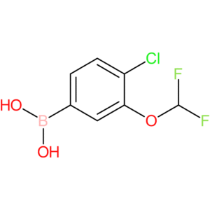 4-chloro-3-(difluoromethoxy)phenylboronic acid