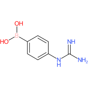 (4-carbamimidamidophenyl)boronic acid
