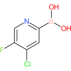 (4-chloro-5-fluoropyridin-2-yl)boronic acid